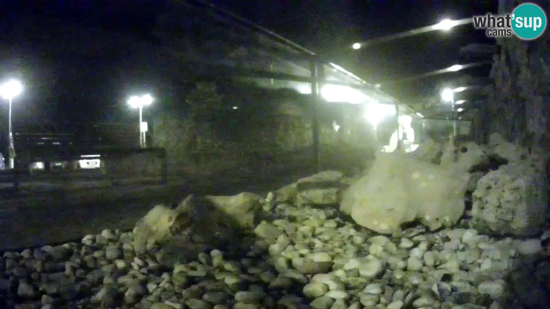 Outdoor Marine Aquarium Rogoznica webcam Croatia