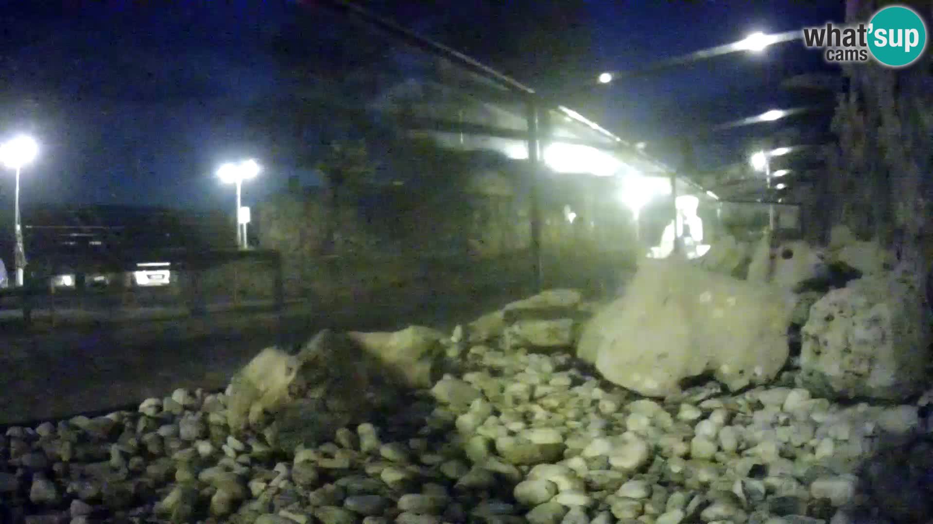 Marine Aquarium im Freien Rogoznica webcam Kroatien