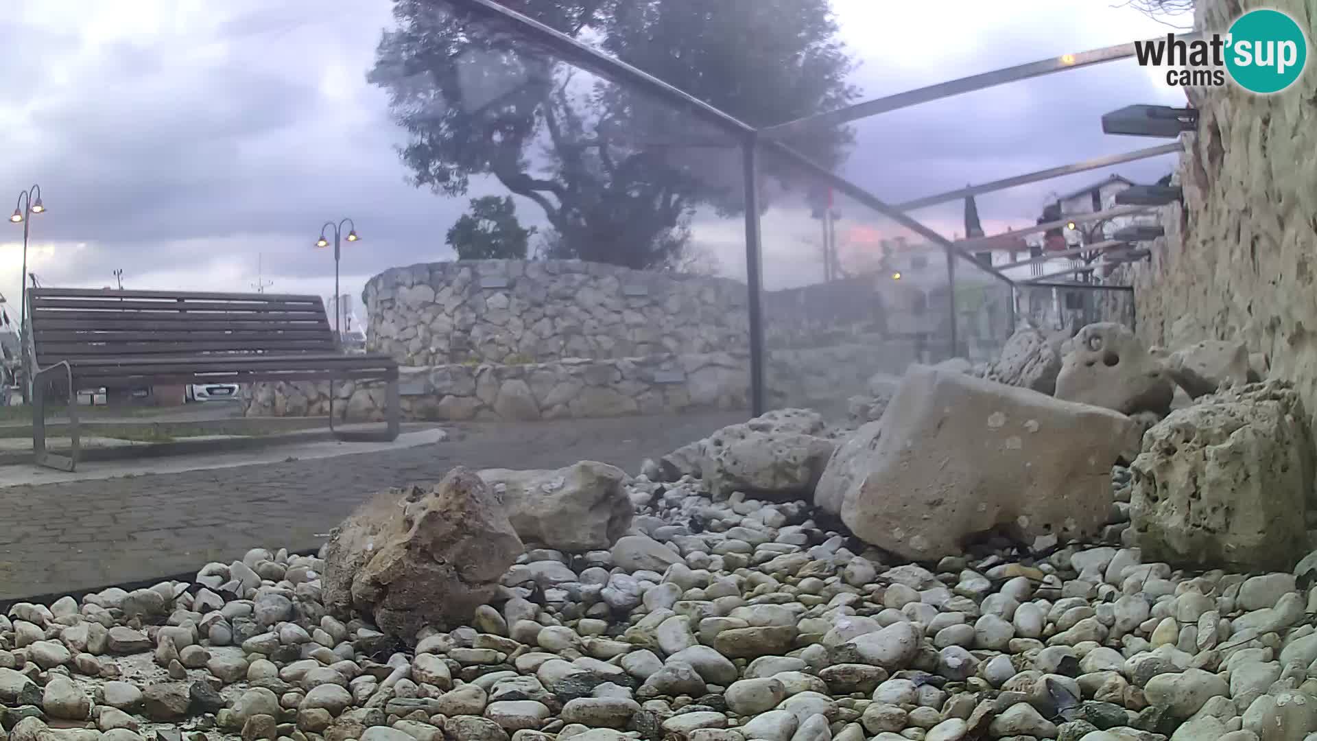 Acuario marino al aire libre Rogoznica webcam Croacia