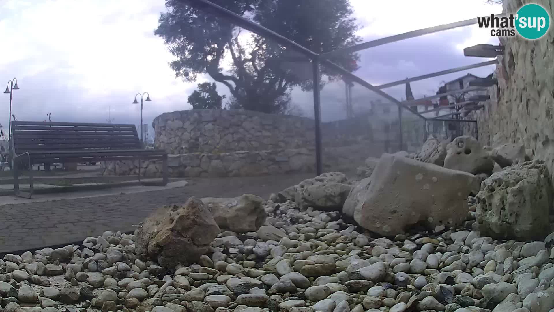 Aquario marino esterno –  Rogoznica livecam Croazia