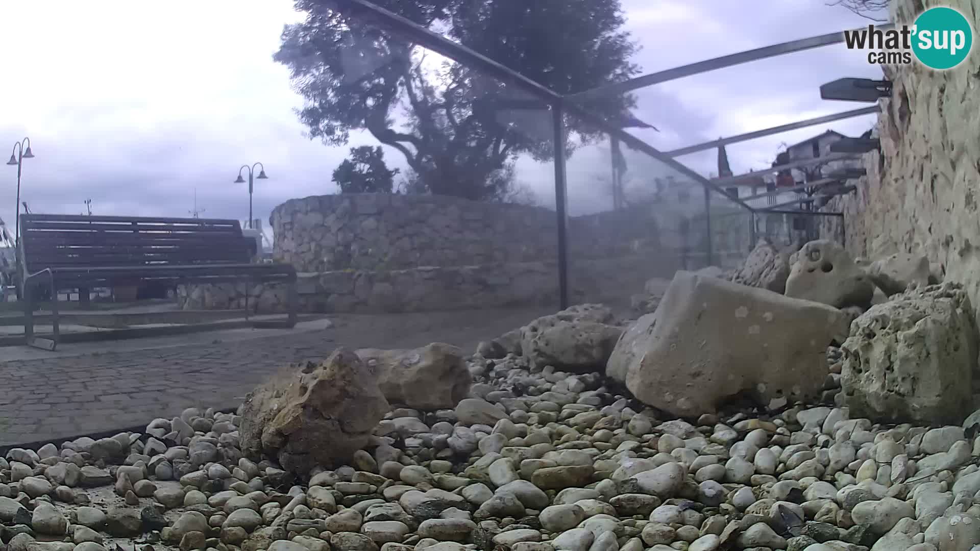 Outdoor Marine Aquarium Rogoznica webcam Croatia