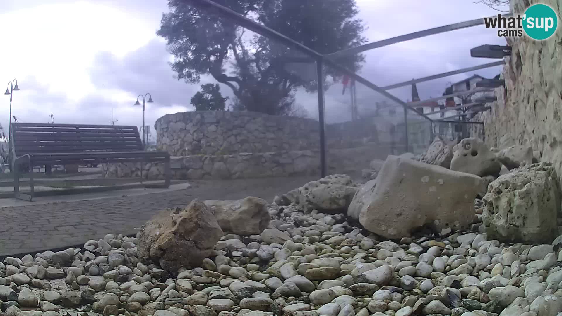 Zunanji morski akvarij Rogoznica spletna kamera Hrvaška