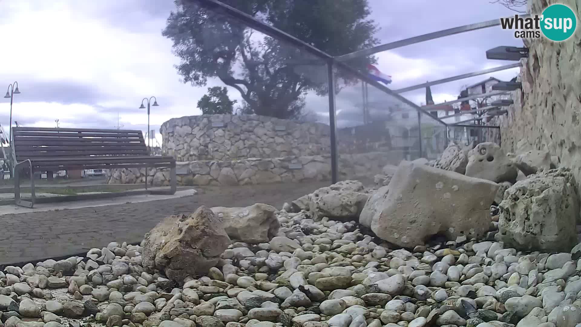 Outdoor Marine Aquarium Rogoznica webcam Croatia