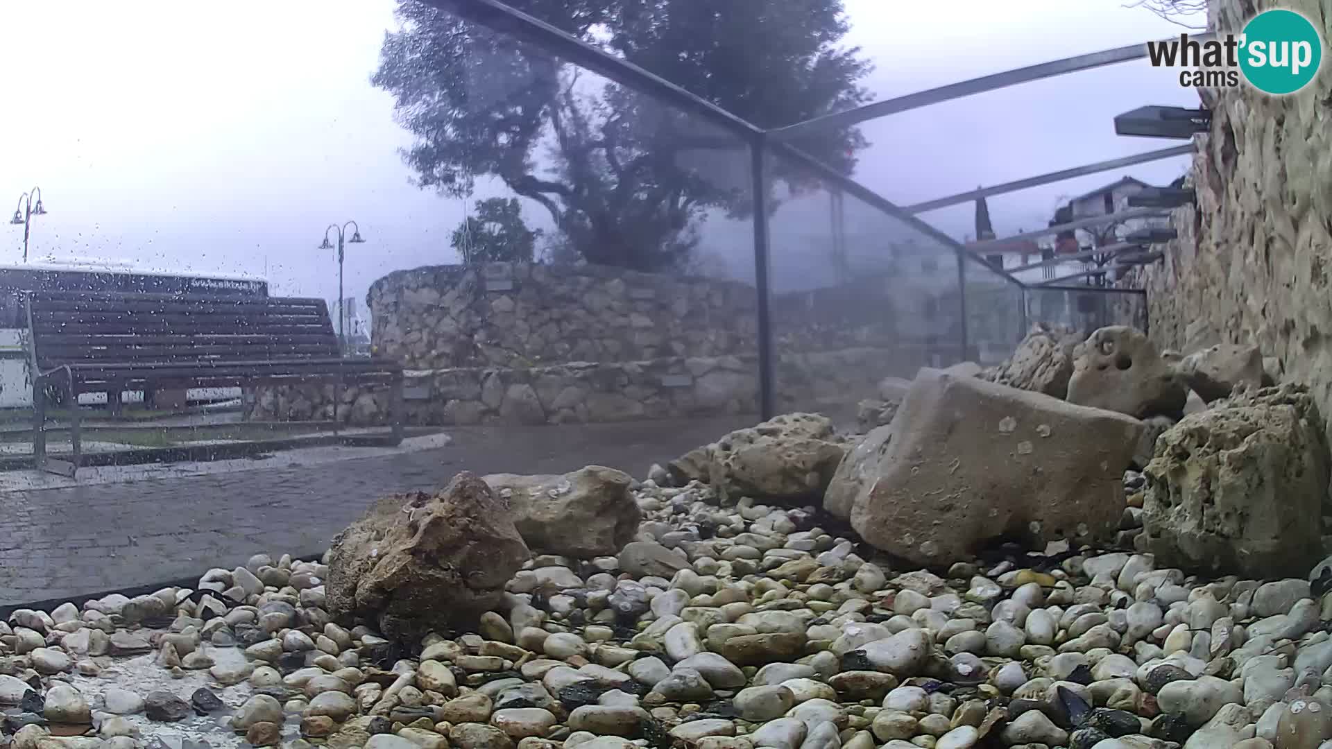 Aquario marino esterno –  Rogoznica livecam Croazia