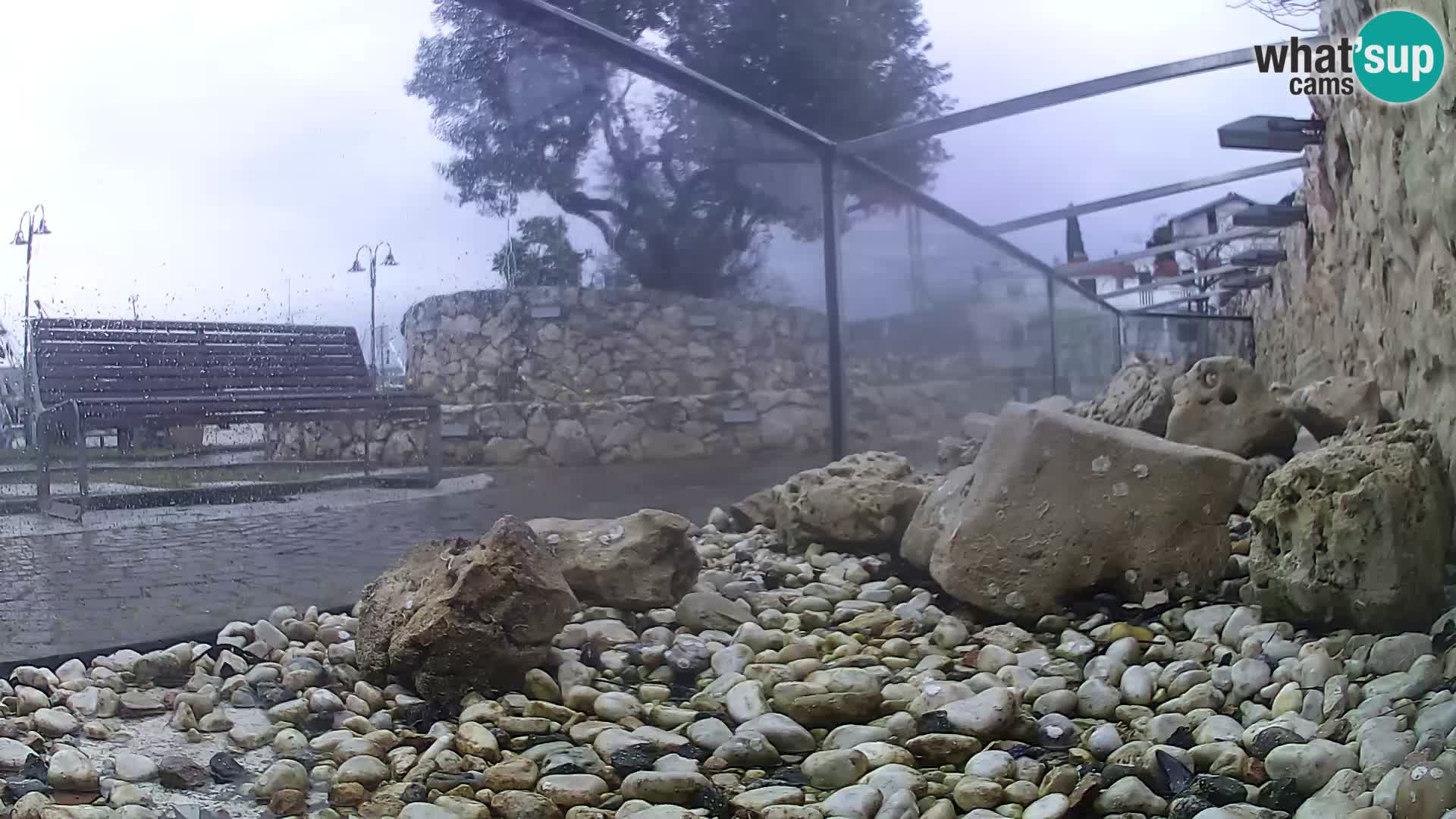 Aquario marino esterno –  Rogoznica livecam Croazia