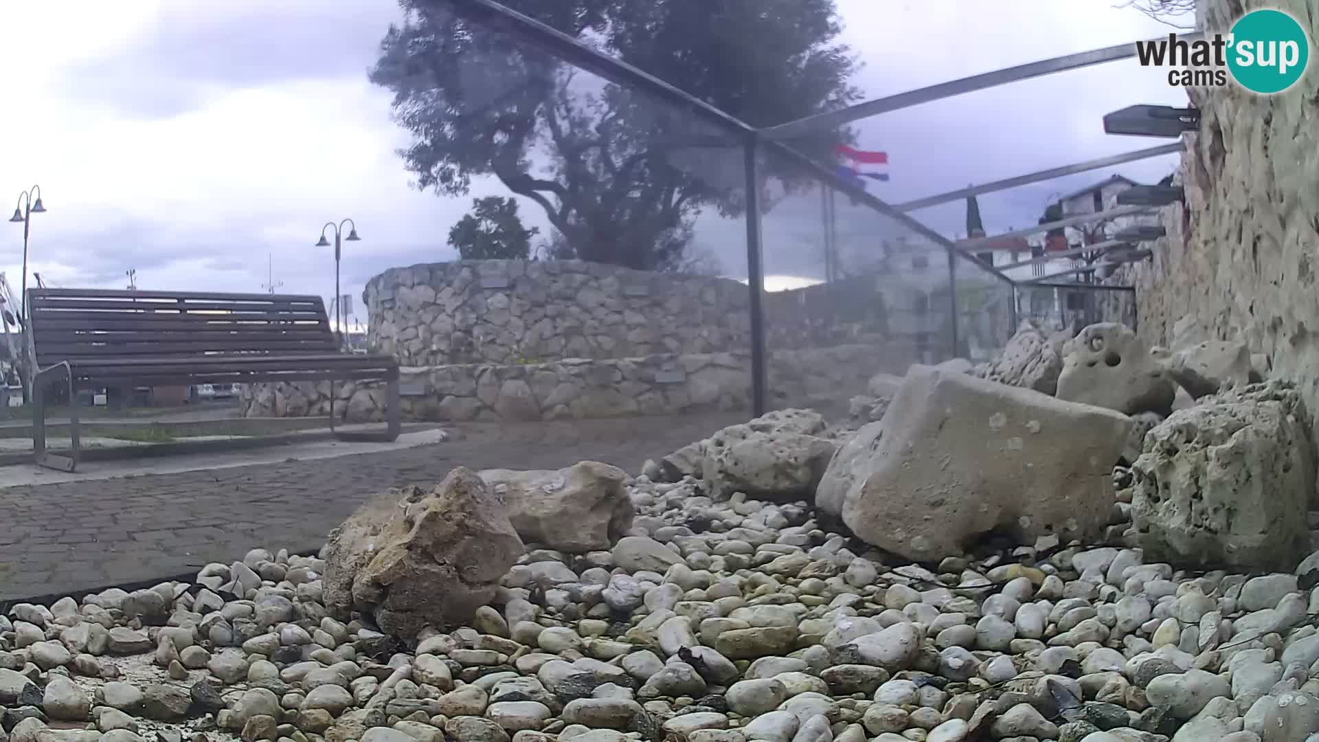 Aquario marino esterno –  Rogoznica livecam Croazia