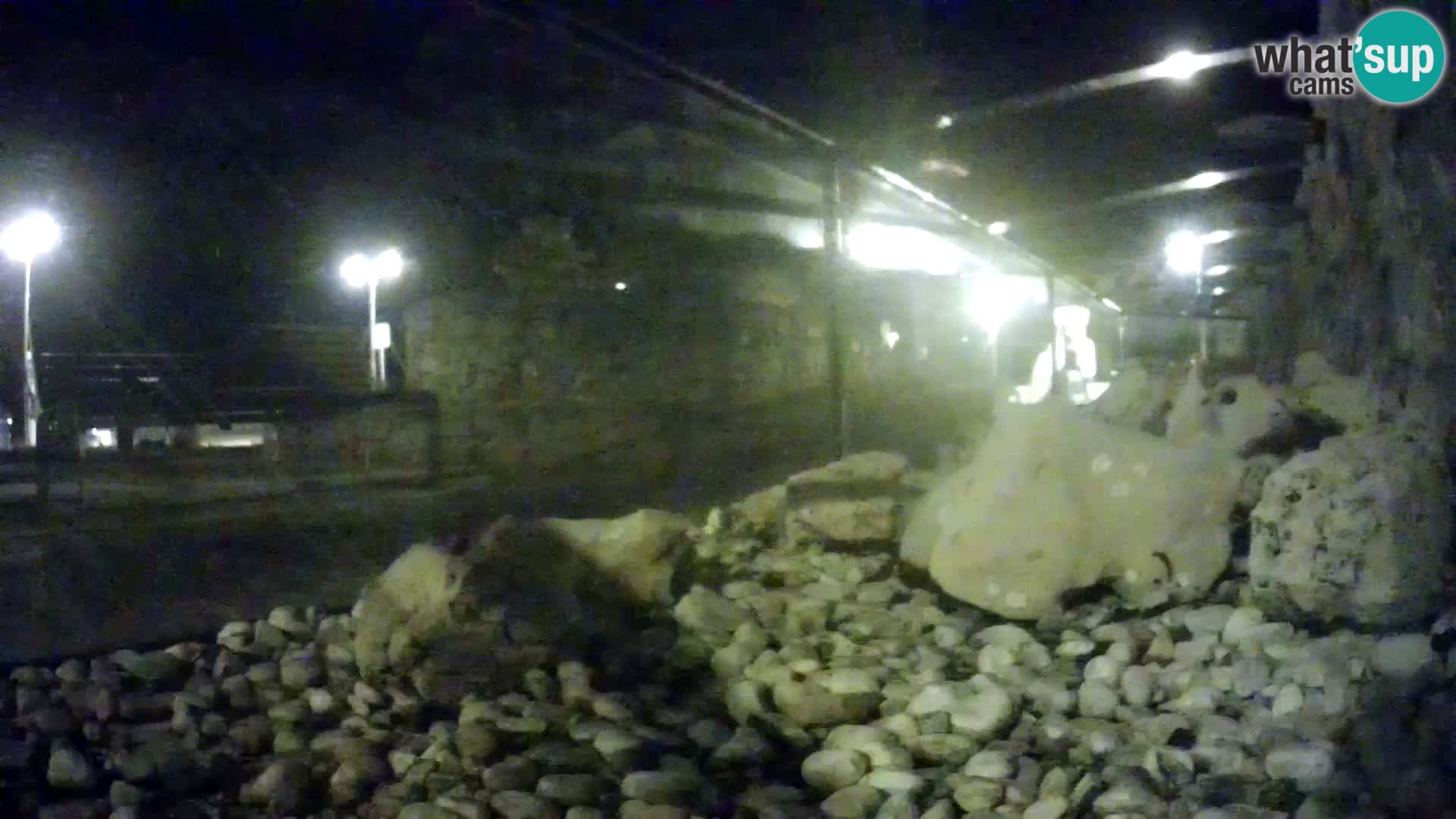 Outdoor Marine Aquarium Rogoznica webcam Croatia