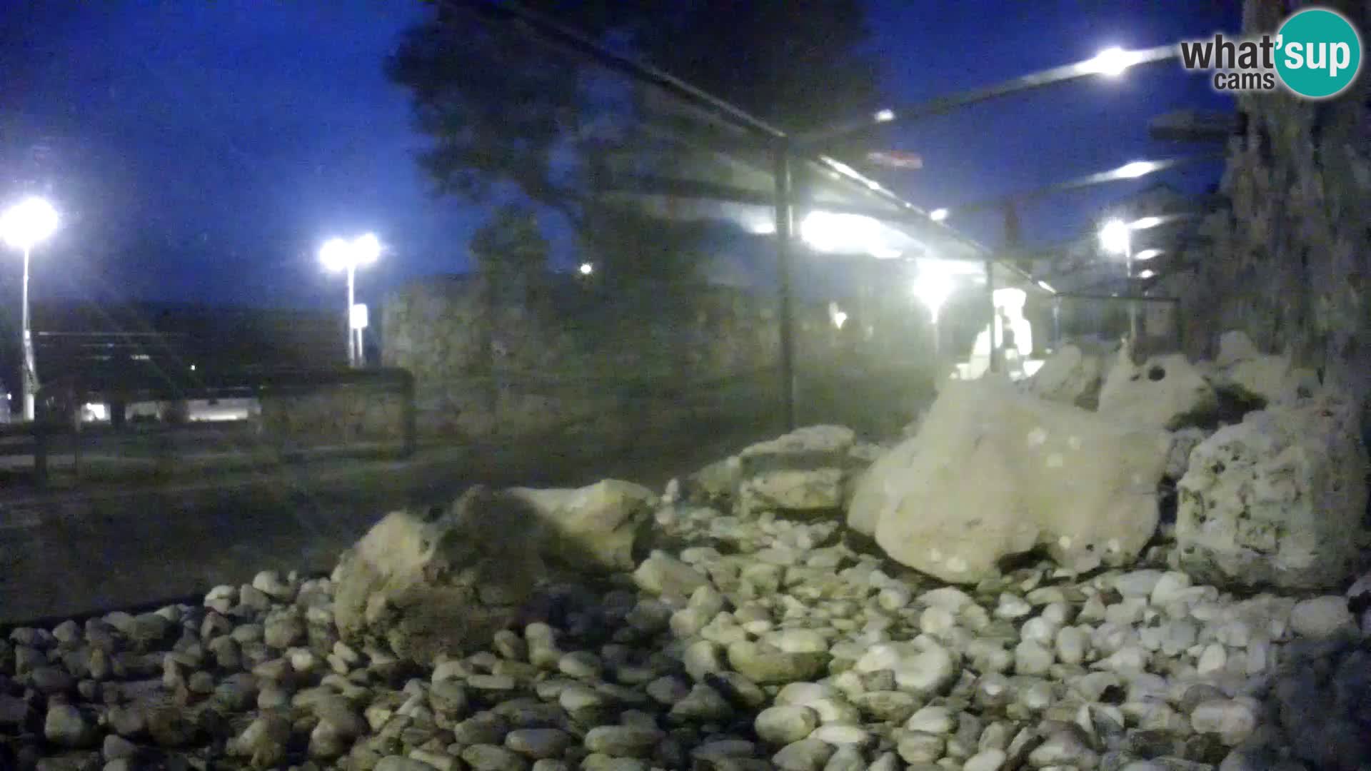 Webcam de l’aquarium marin extérieur de Rogoznica Croatie