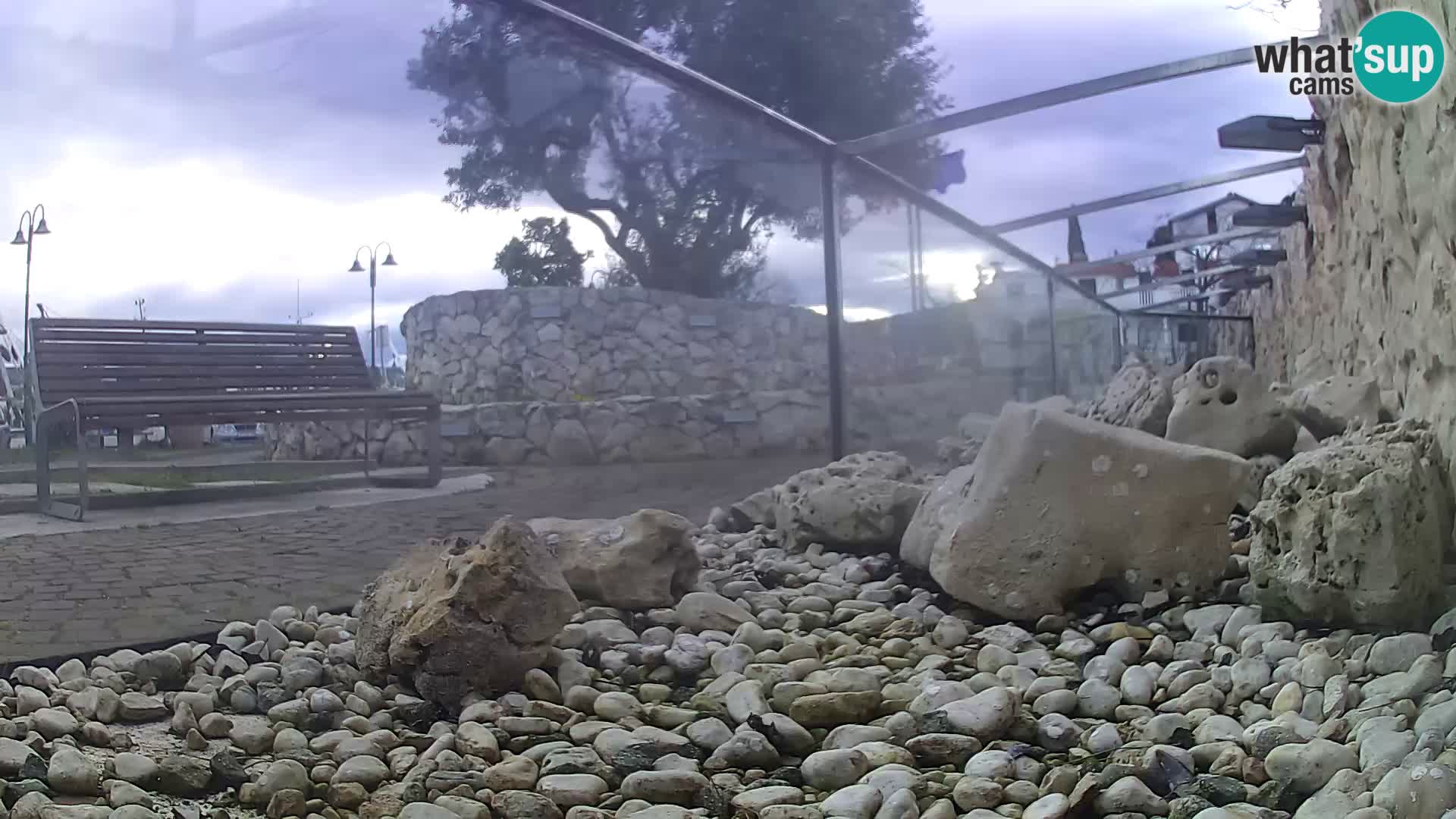 Webcam de l’aquarium marin extérieur de Rogoznica Croatie