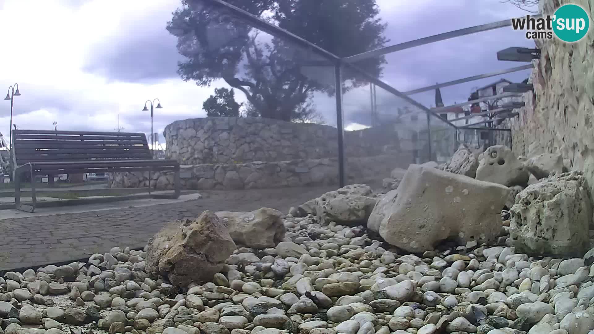 Webcam de l’aquarium marin extérieur de Rogoznica Croatie