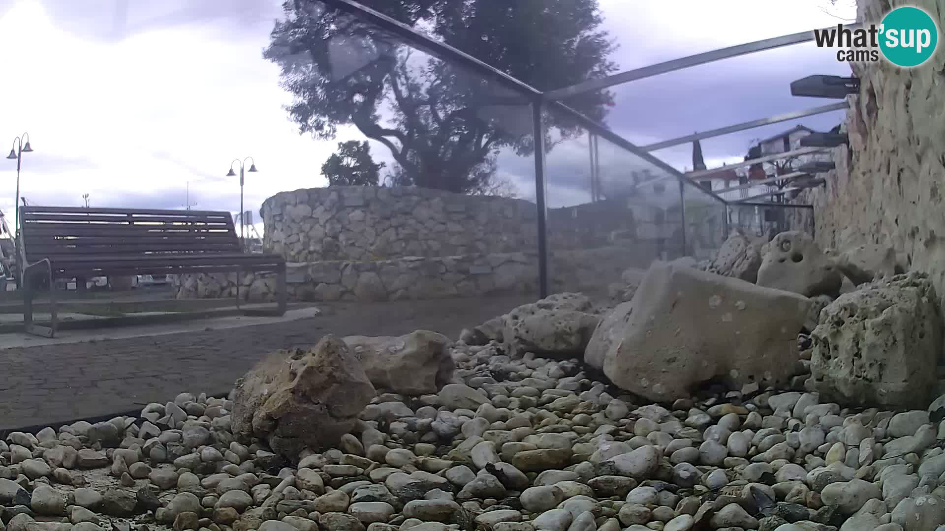 Webcam de l’aquarium marin extérieur de Rogoznica Croatie