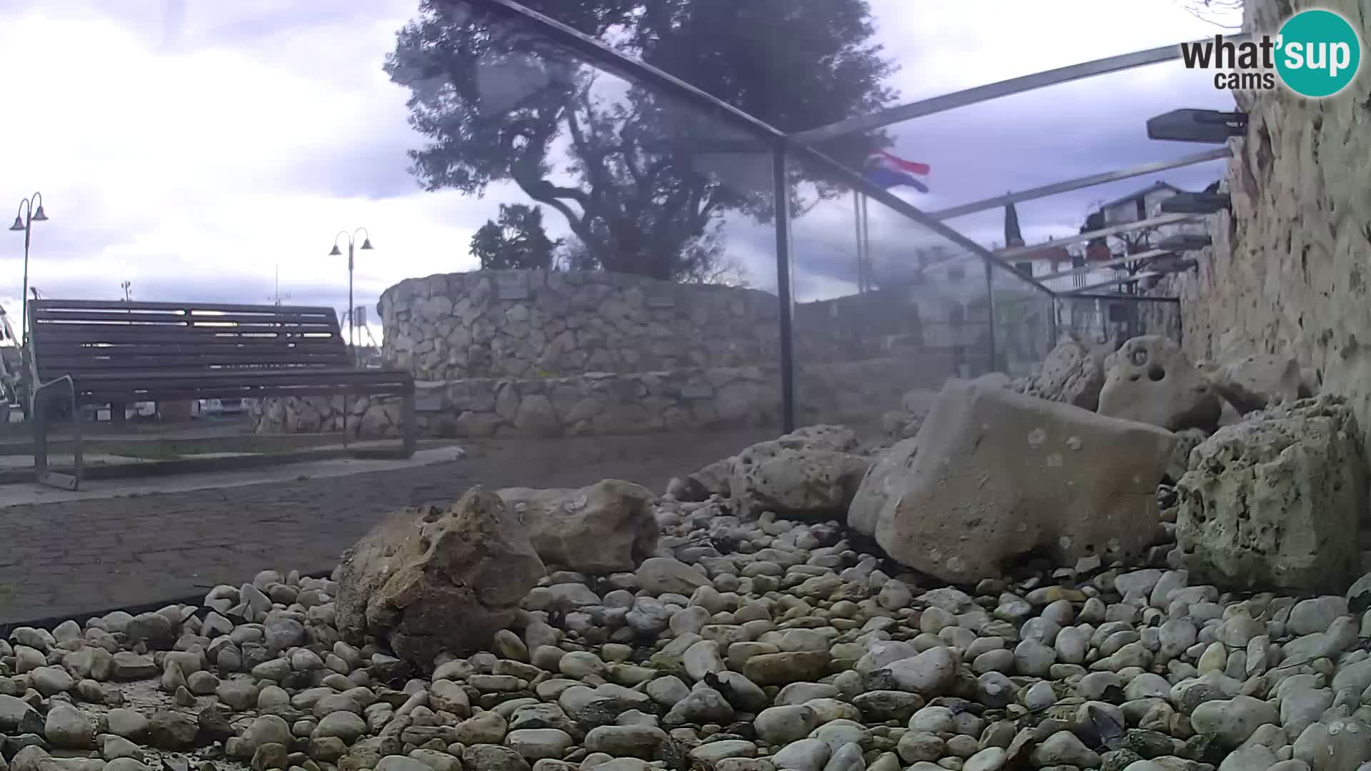Aquario marino esterno –  Rogoznica livecam Croazia