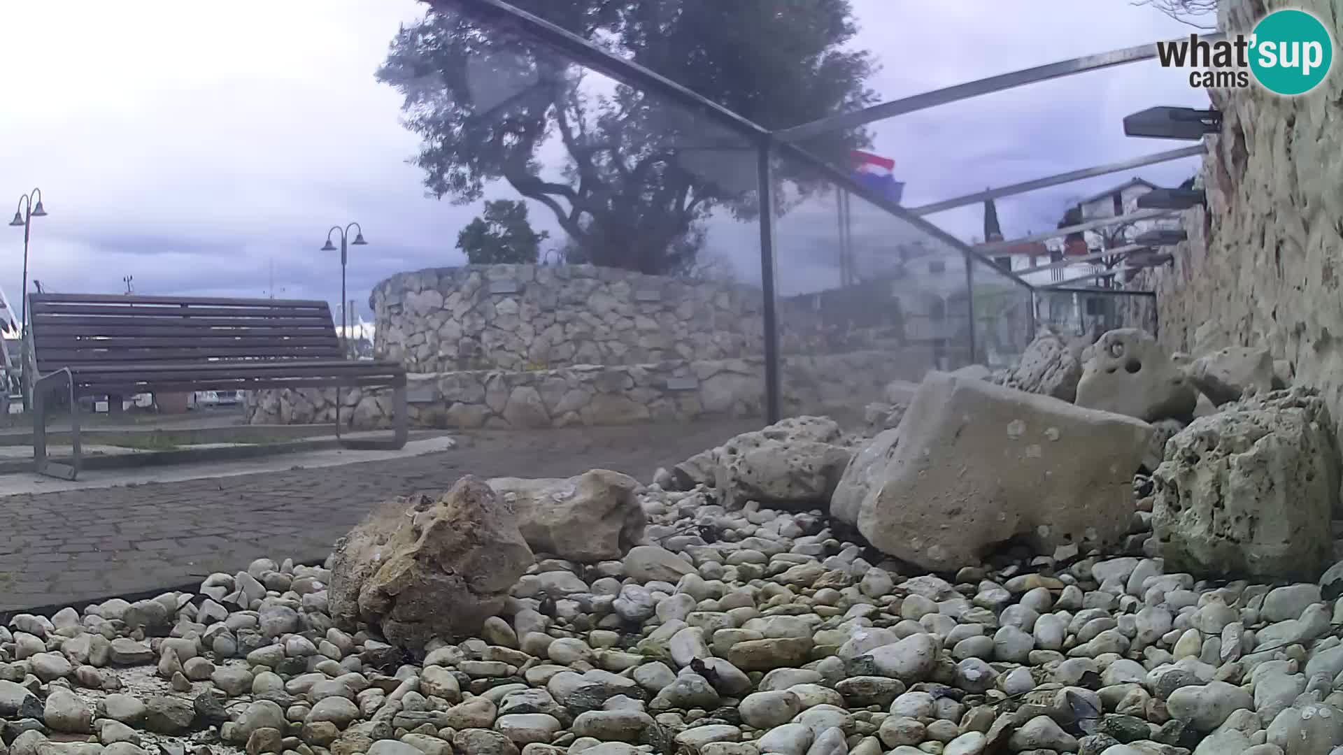 Aquario marino esterno –  Rogoznica livecam Croazia