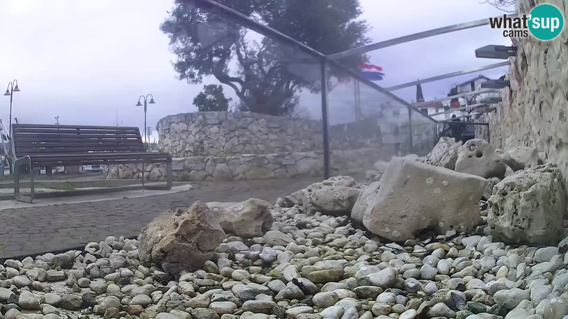 Acuario marino al aire libre Rogoznica webcam Croacia