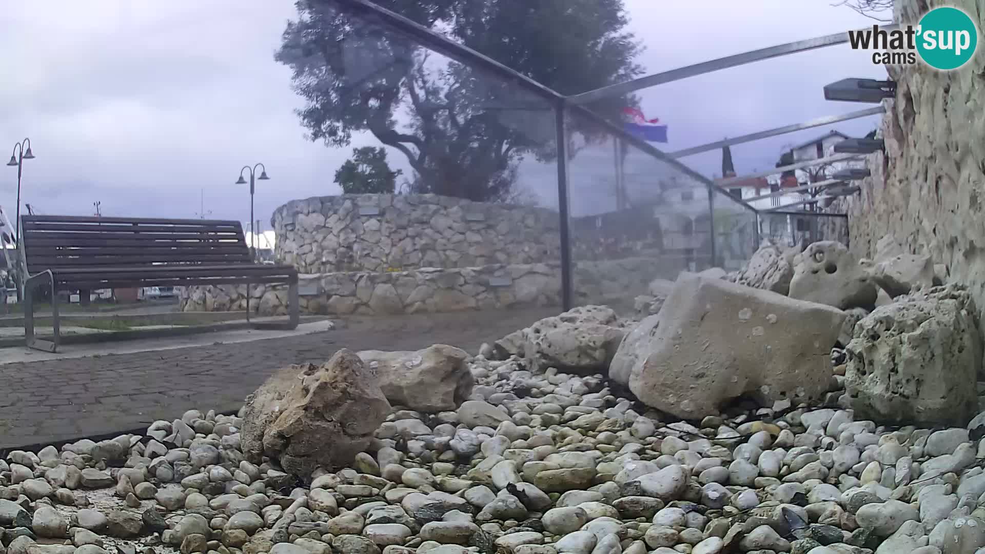 Aquario marino esterno –  Rogoznica livecam Croazia