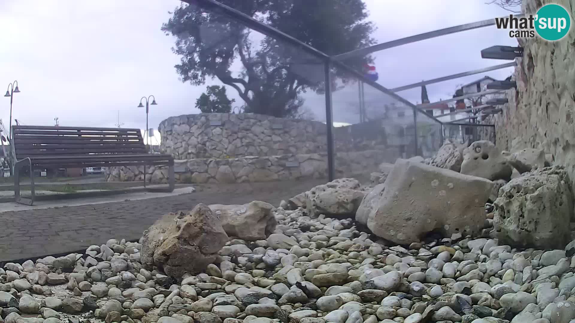 Aquario marino esterno –  Rogoznica livecam Croazia