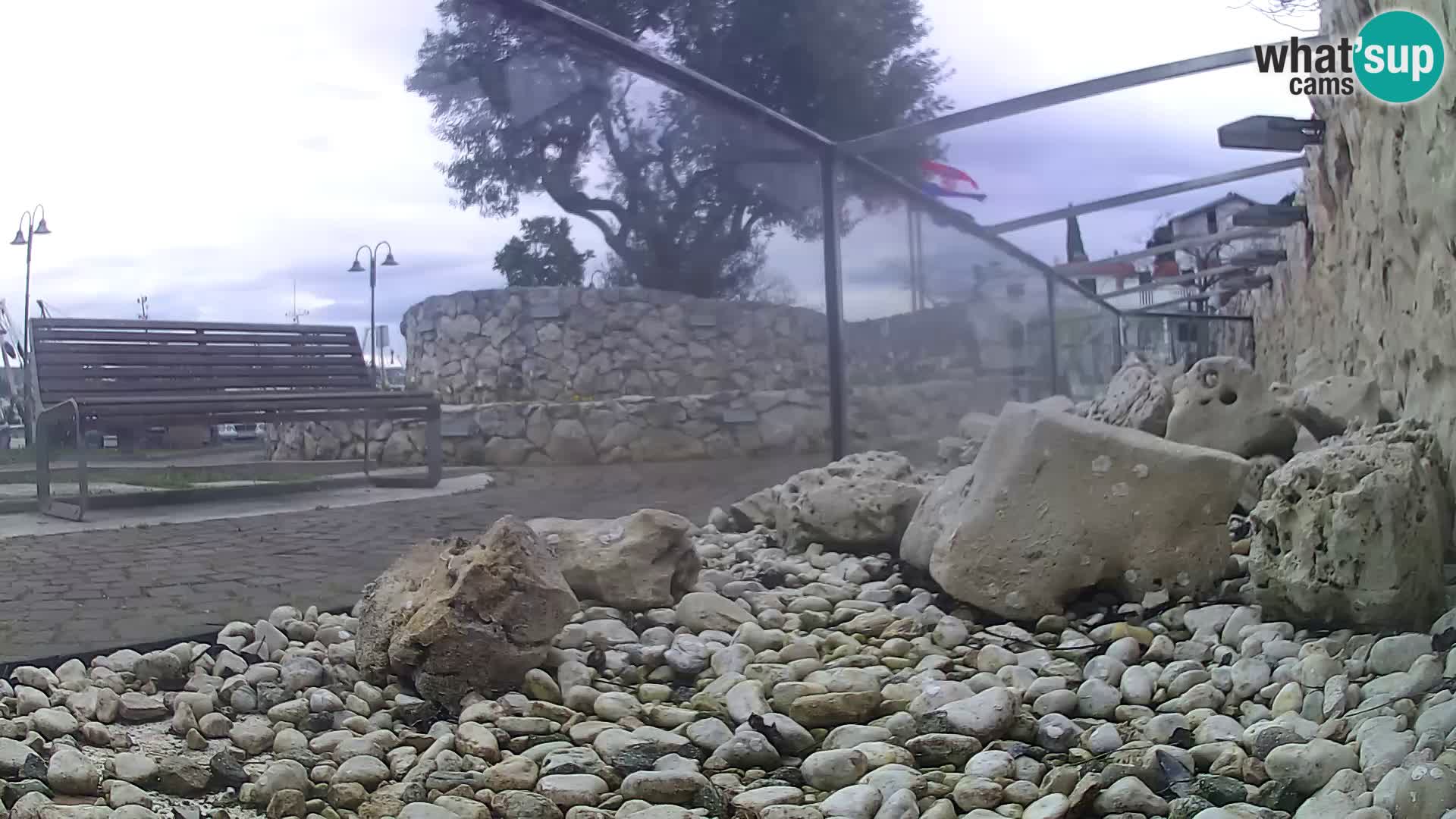 Vanjski morski akvarij Rogoznica web kamera Hrvatska