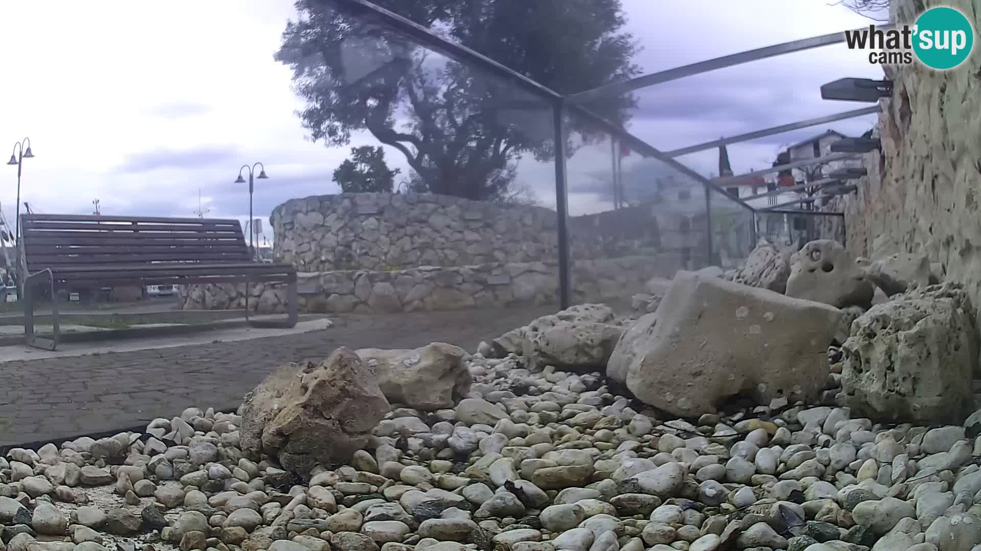 Zunanji morski akvarij Rogoznica spletna kamera Hrvaška