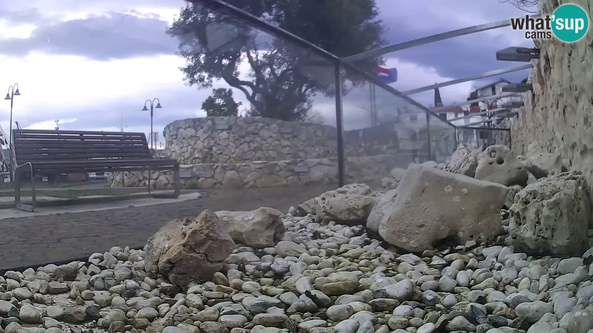 Aquario marino esterno –  Rogoznica livecam Croazia