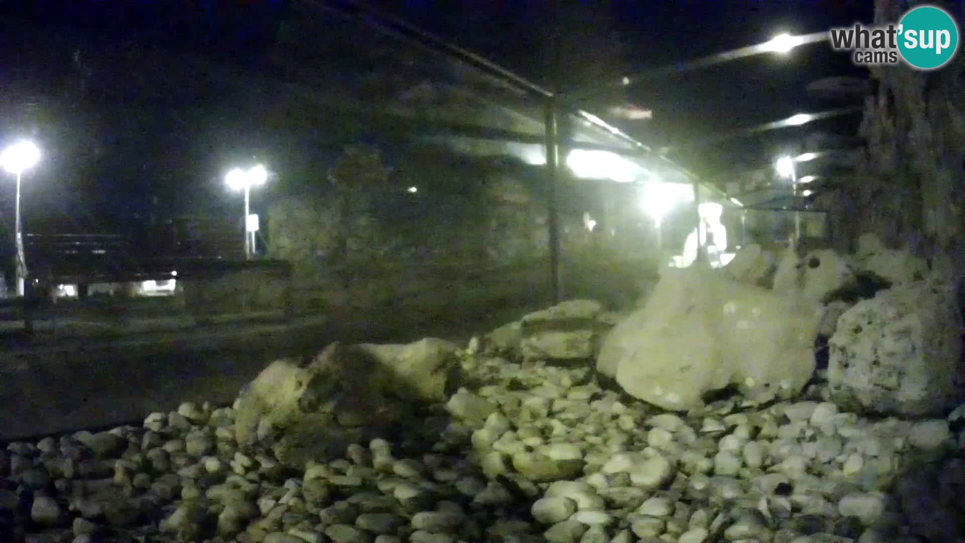 Aquario marino esterno –  Rogoznica livecam Croazia