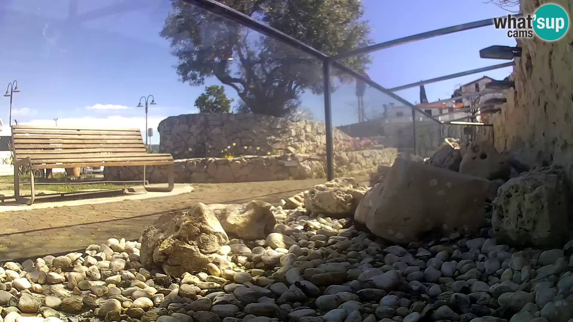 Outdoor Marine Aquarium Rogoznica webcam Croatia