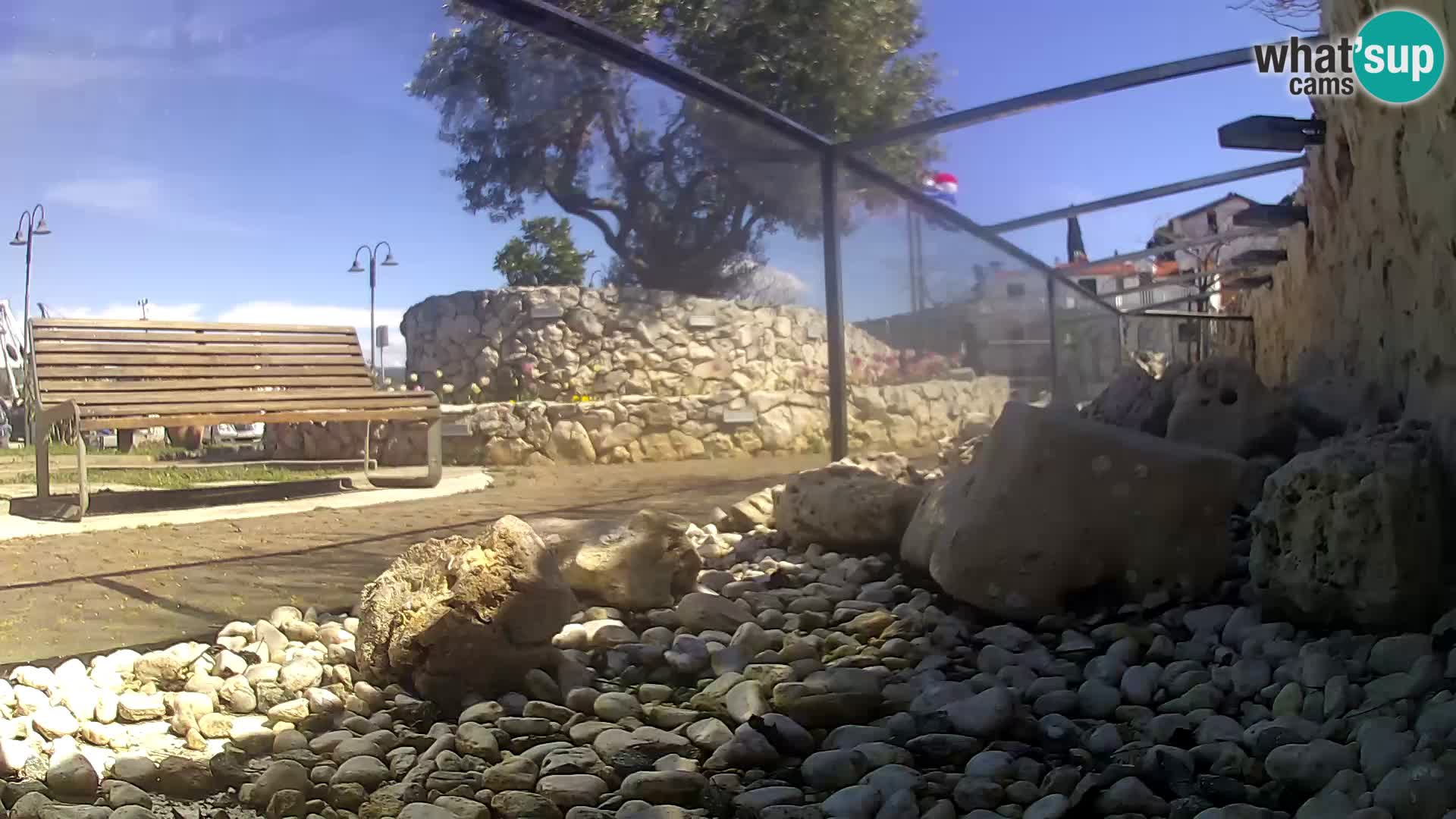 Outdoor Marine Aquarium Rogoznica webcam Croatia