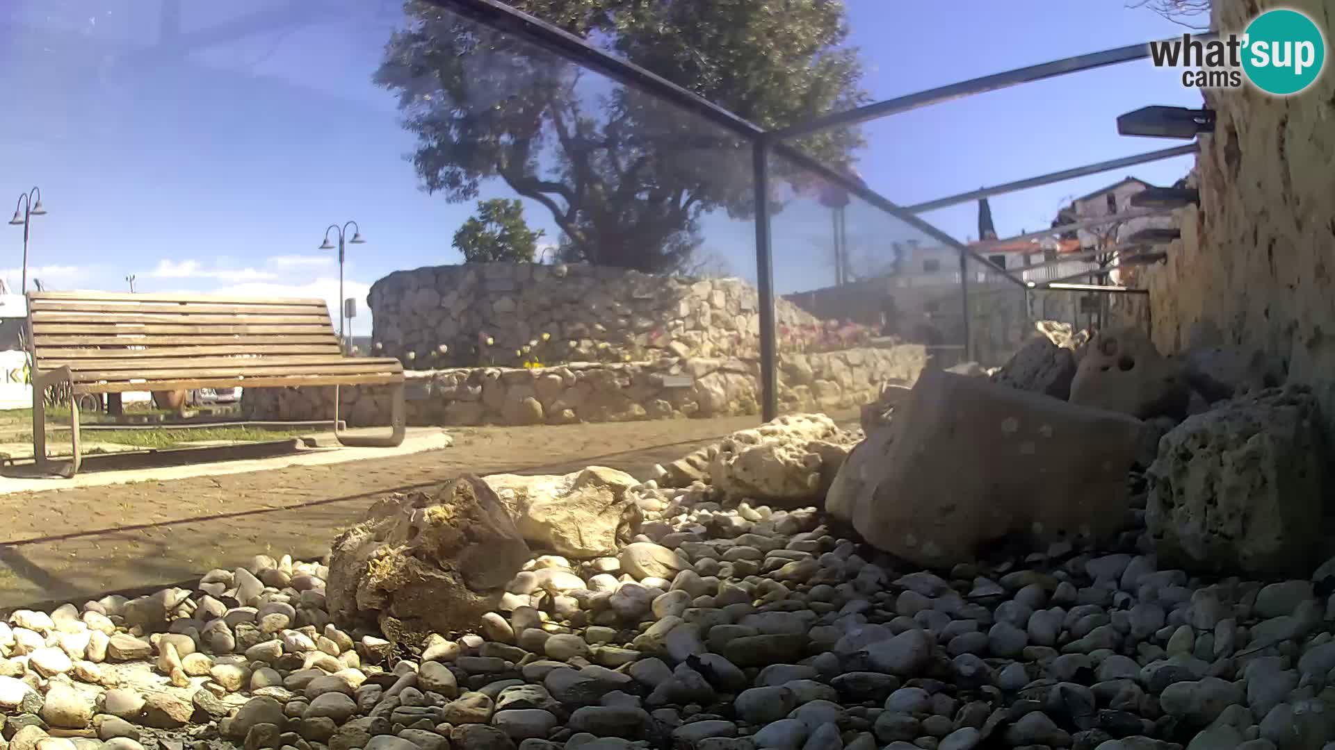 Vanjski morski akvarij Rogoznica web kamera Hrvatska