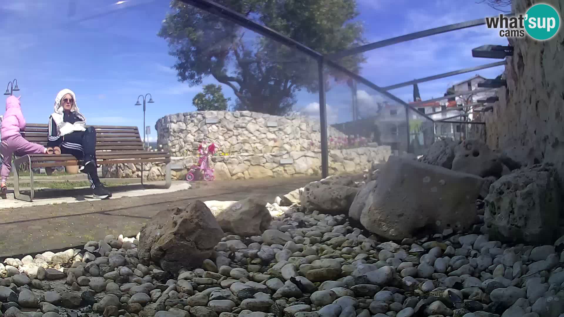 Marine Aquarium im Freien Rogoznica webcam Kroatien