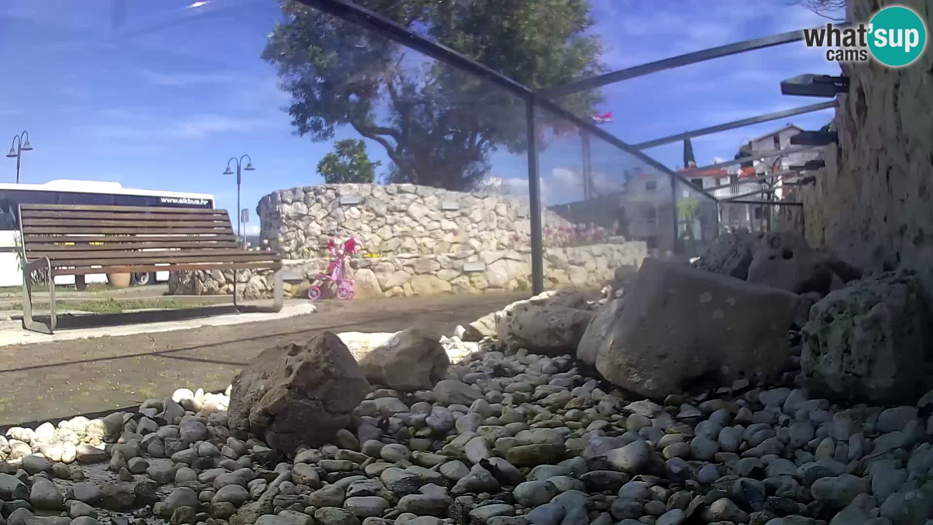 Marine Aquarium im Freien Rogoznica webcam Kroatien