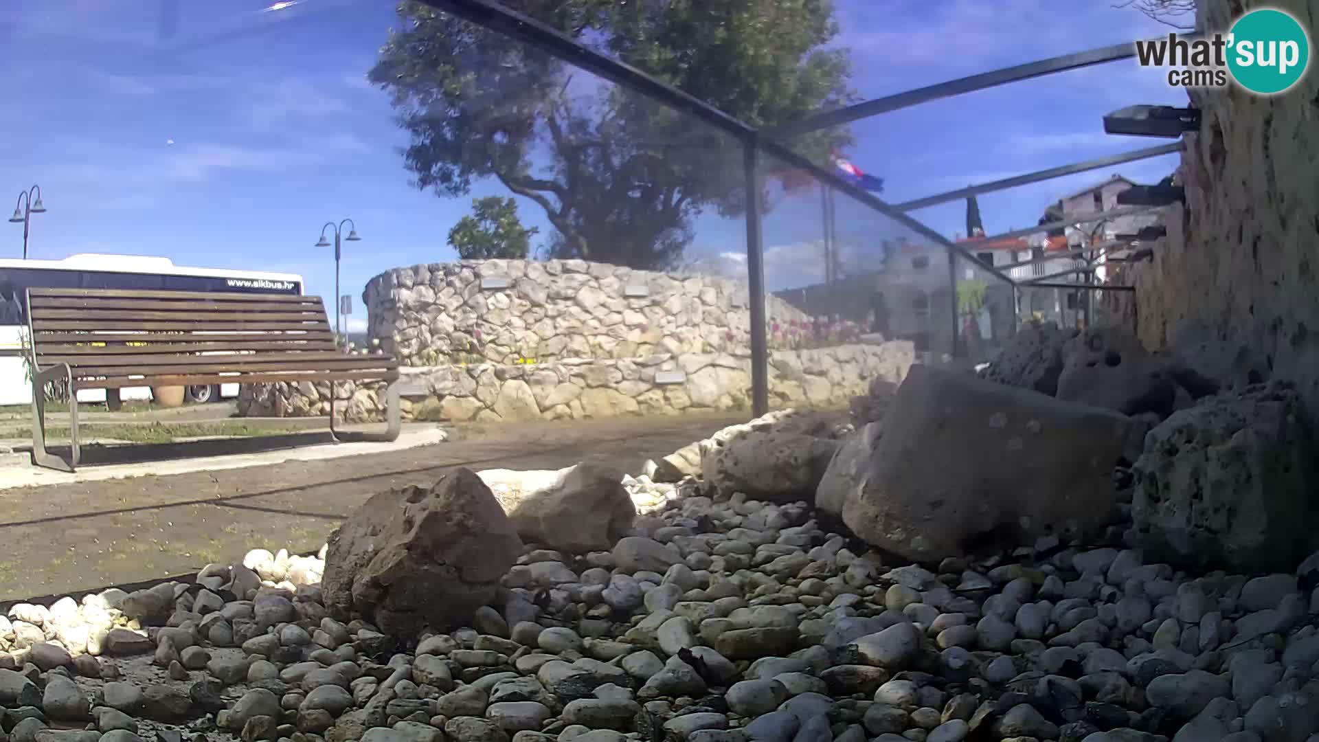 Outdoor Marine Aquarium Rogoznica webcam Croatia