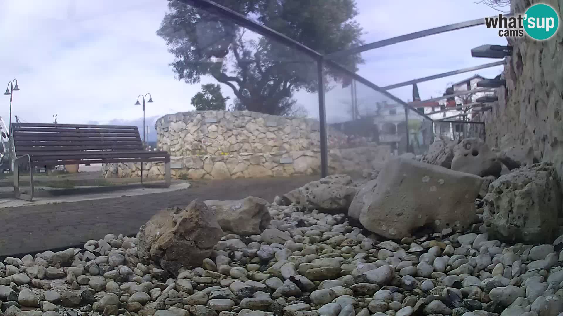 Marine Aquarium im Freien Rogoznica webcam Kroatien