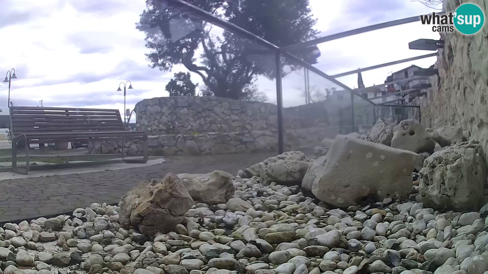 Aquario marino esterno –  Rogoznica livecam Croazia