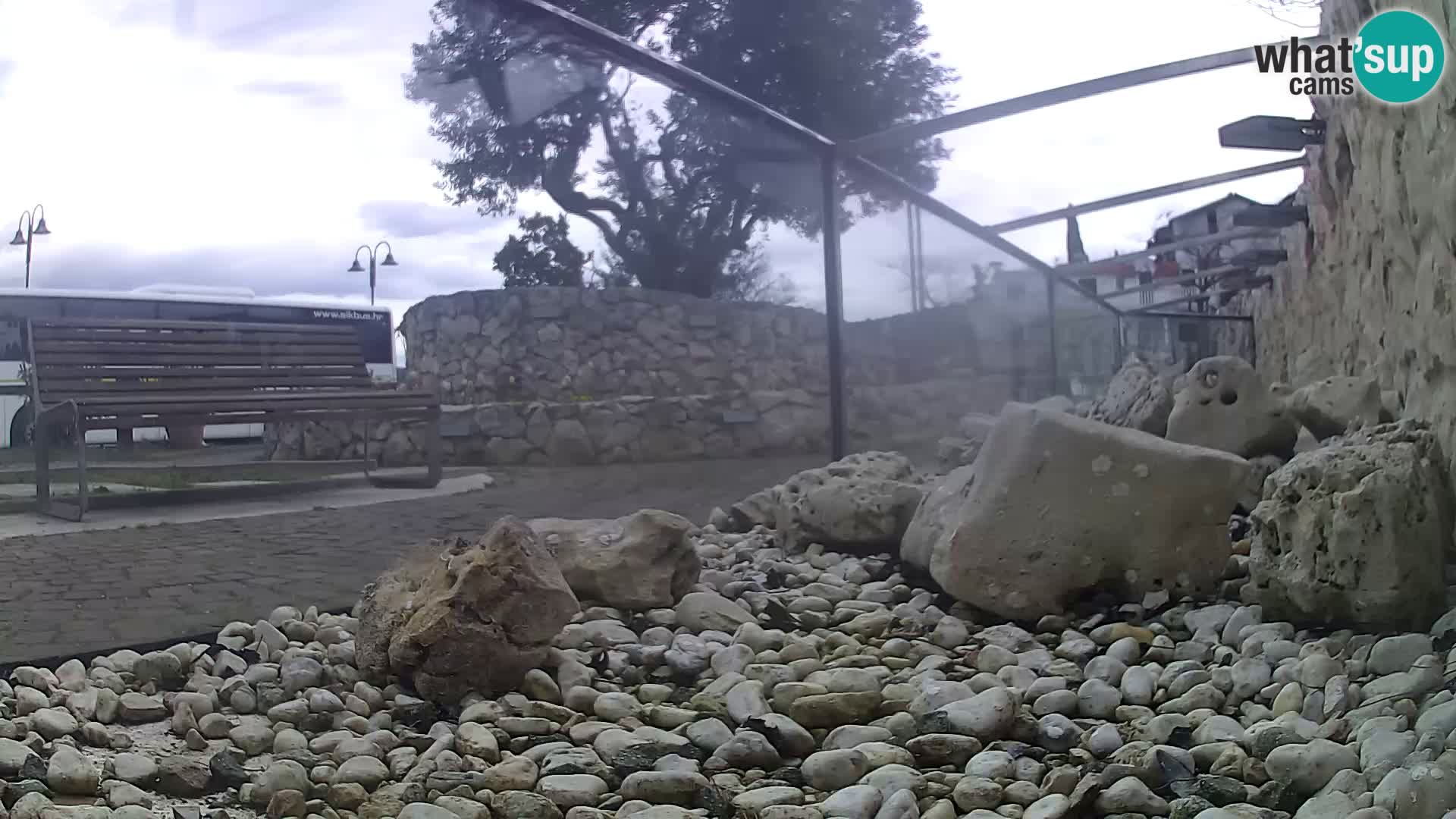 Outdoor Marine Aquarium Rogoznica webcam Croatia