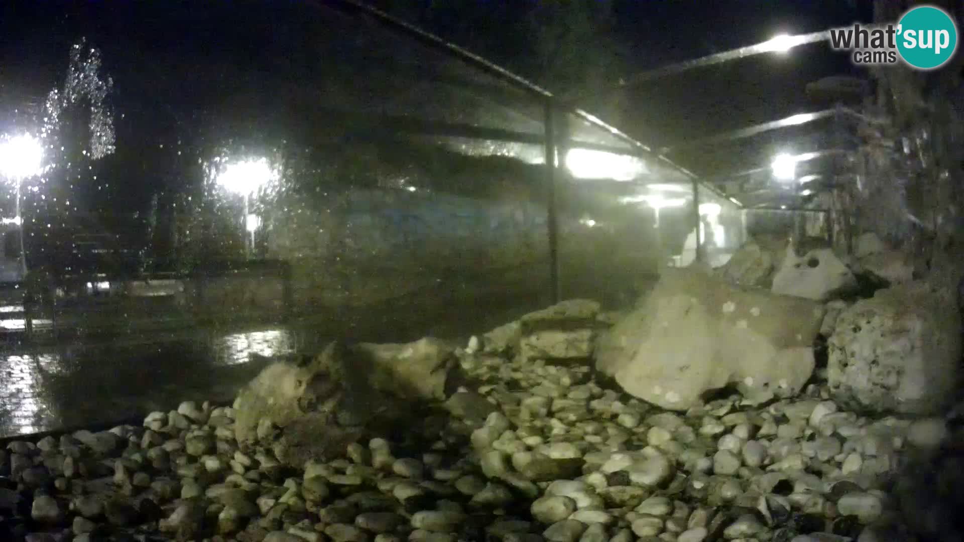 Vanjski morski akvarij Rogoznica web kamera Hrvatska