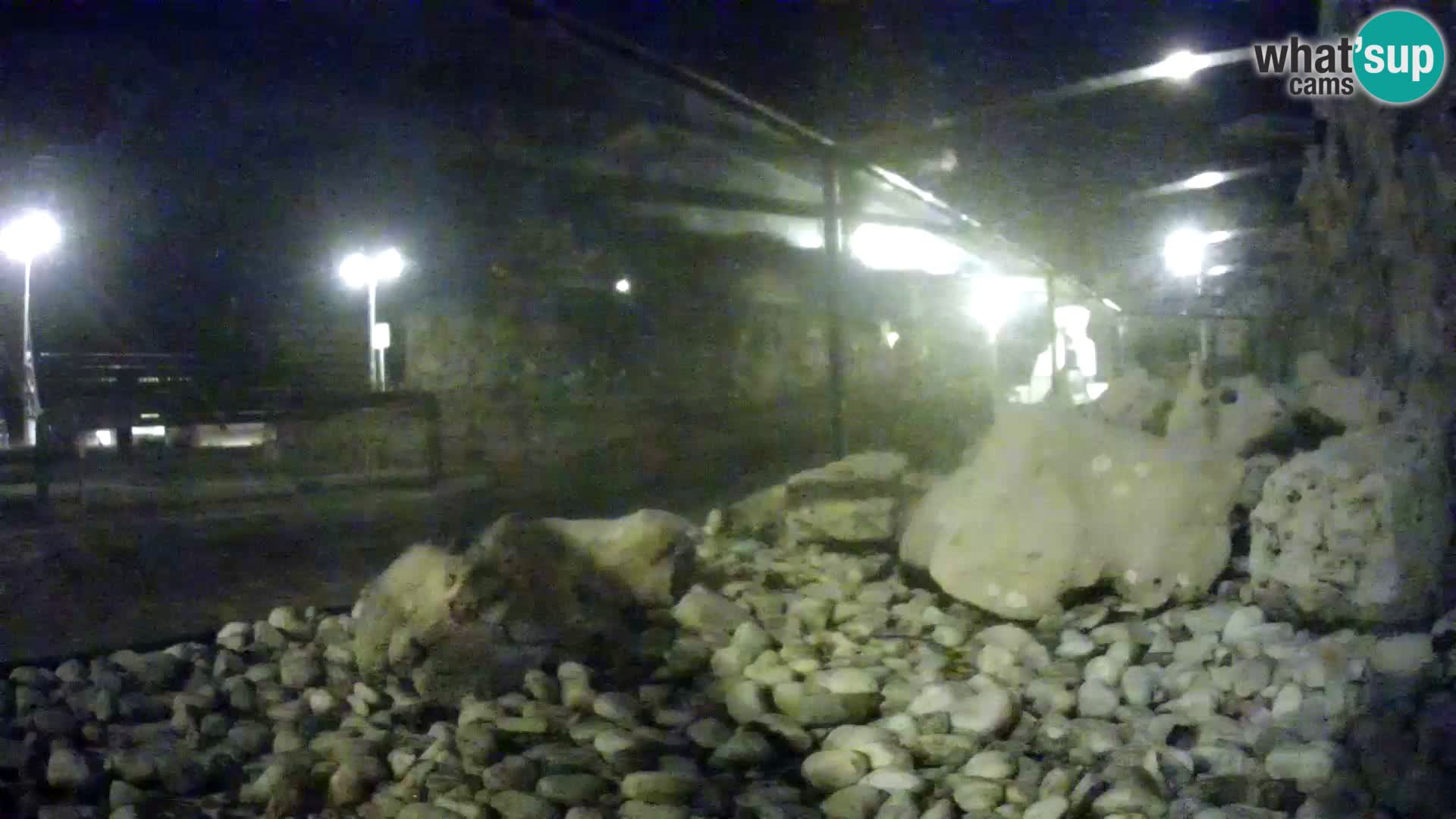 Vanjski morski akvarij Rogoznica web kamera Hrvatska