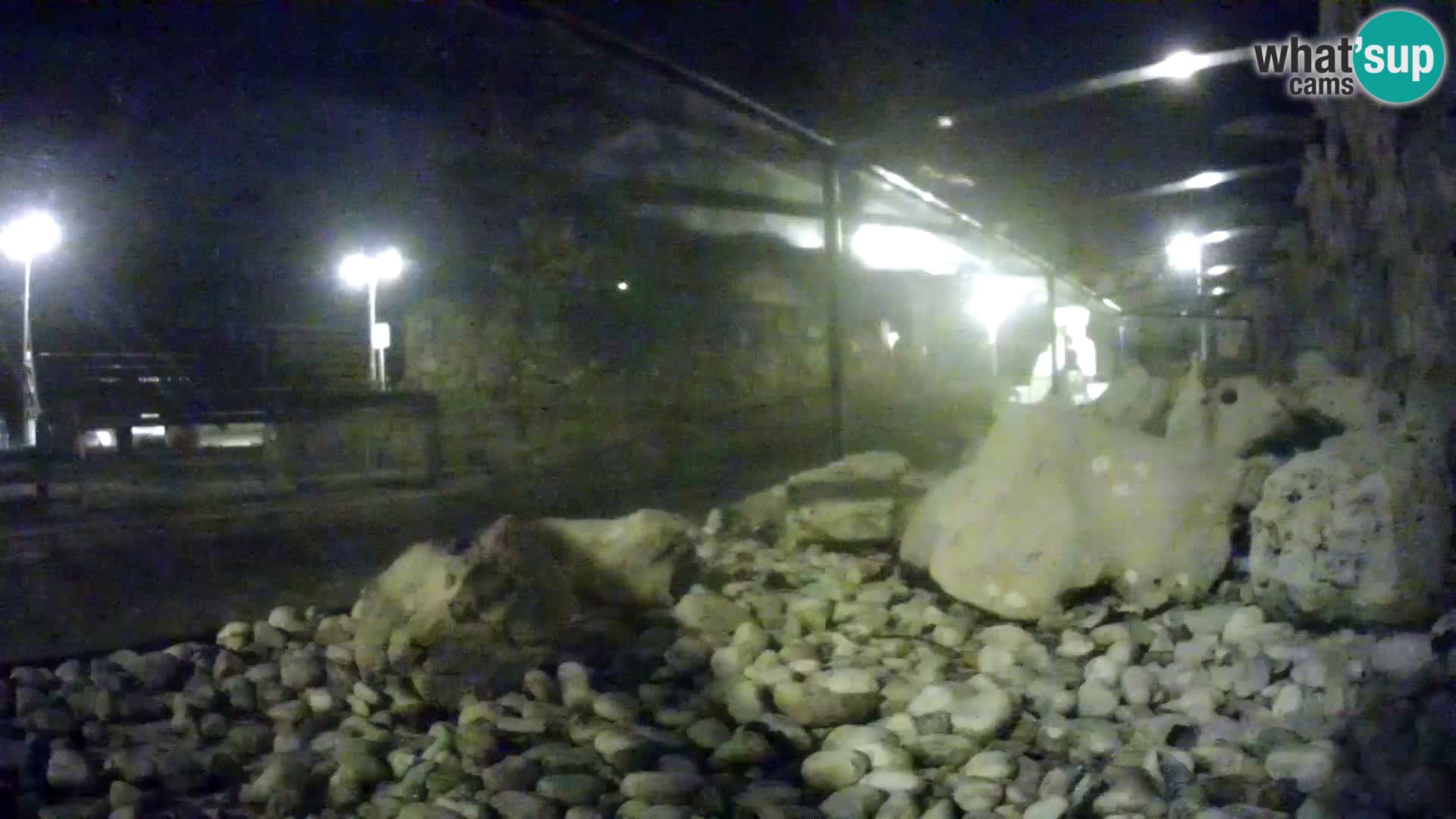 Vanjski morski akvarij Rogoznica web kamera Hrvatska