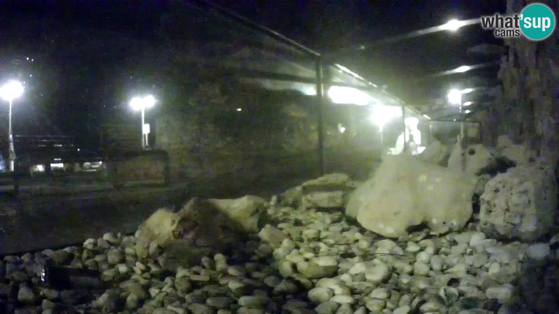 Aquario marino esterno –  Rogoznica livecam Croazia