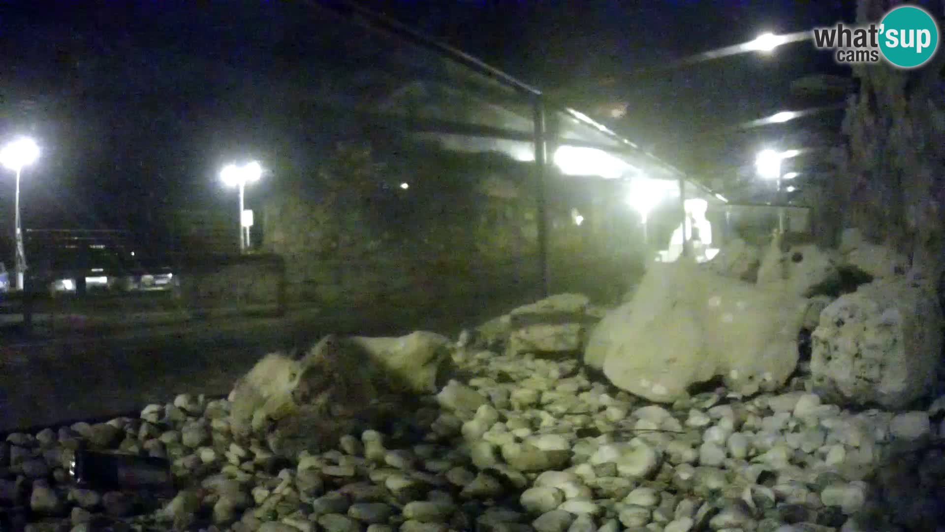 Acuario marino al aire libre Rogoznica webcam Croacia