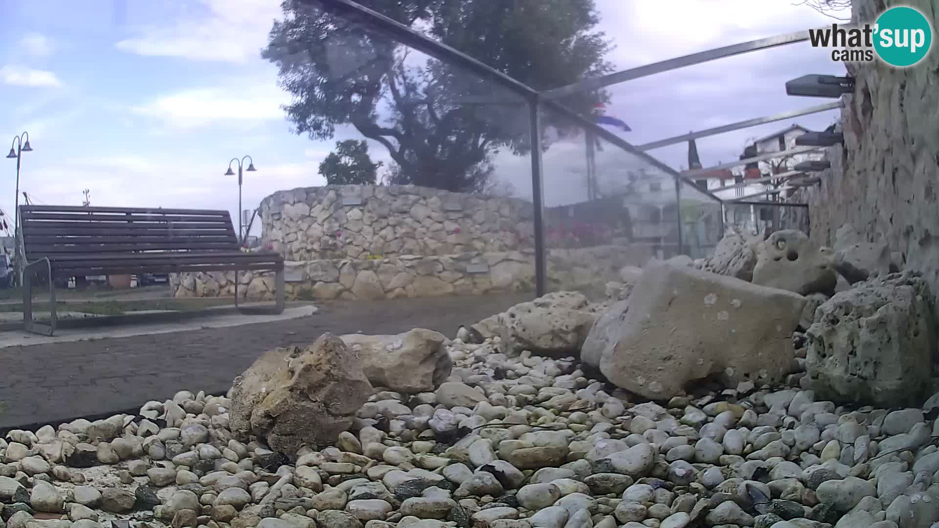 Vanjski morski akvarij Rogoznica web kamera Hrvatska