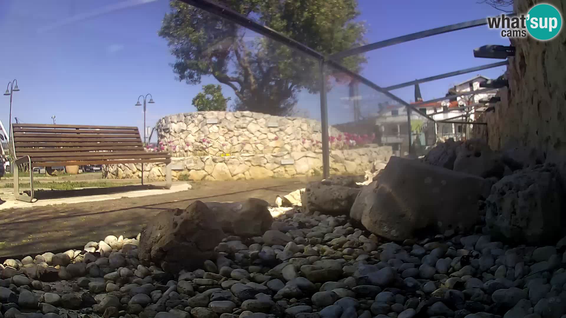 Unterwasserkamera Brijuni – Čamčarnica