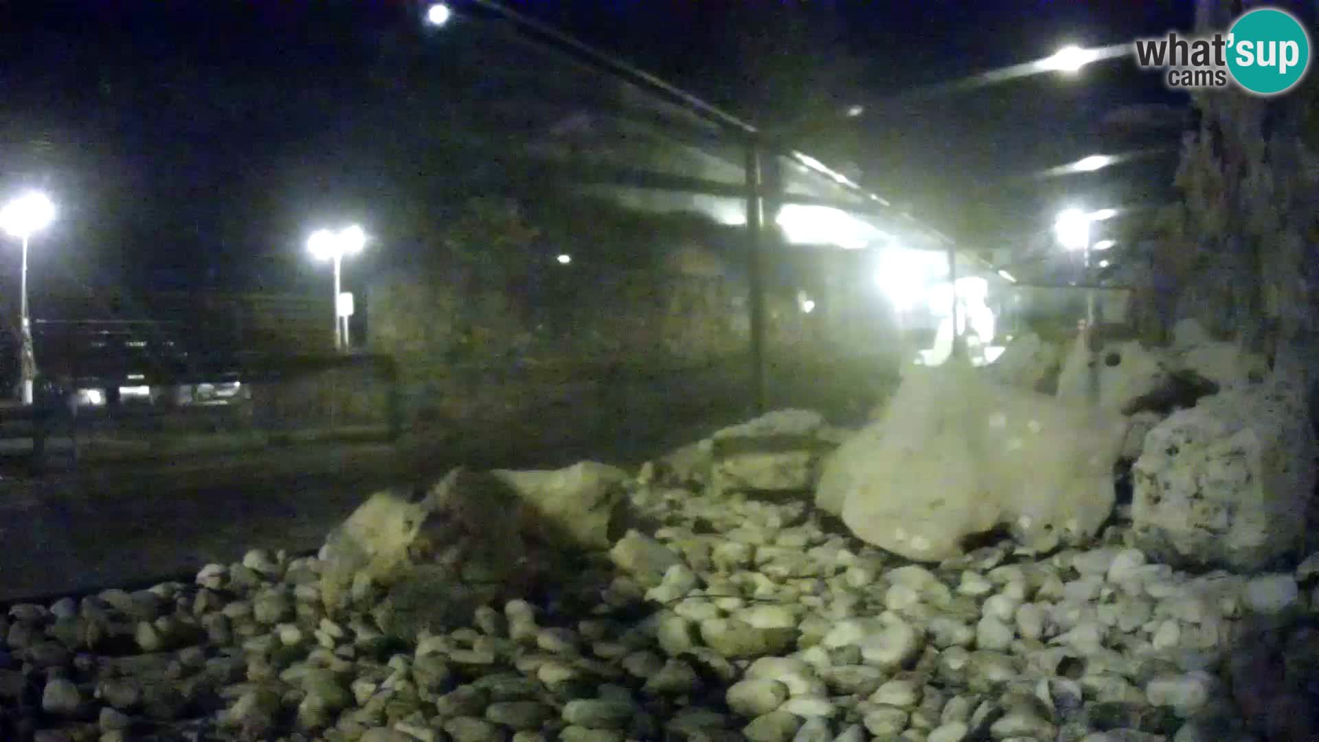 Webcam de l’aquarium marin extérieur de Rogoznica Croatie