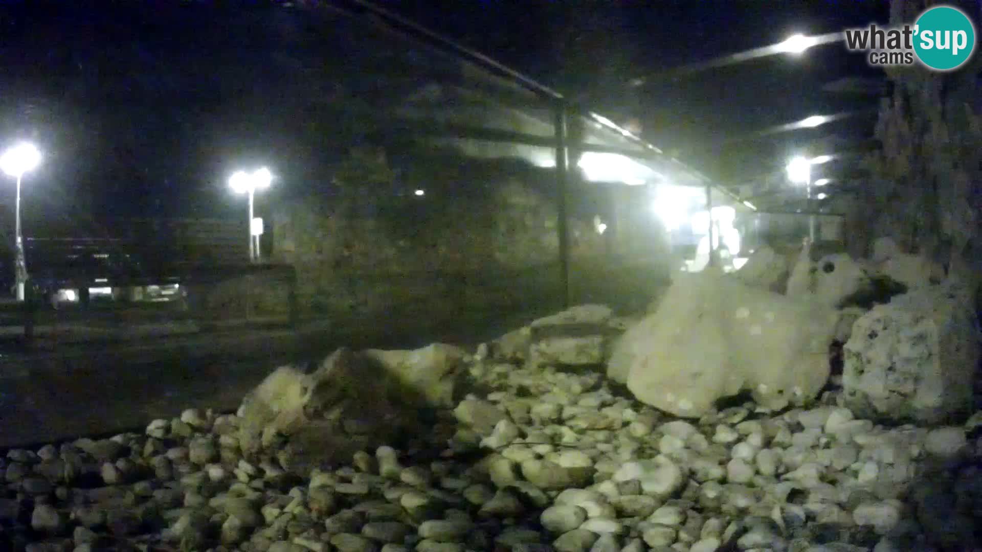 Aquario marino esterno – Rogoznica livecam Croazia