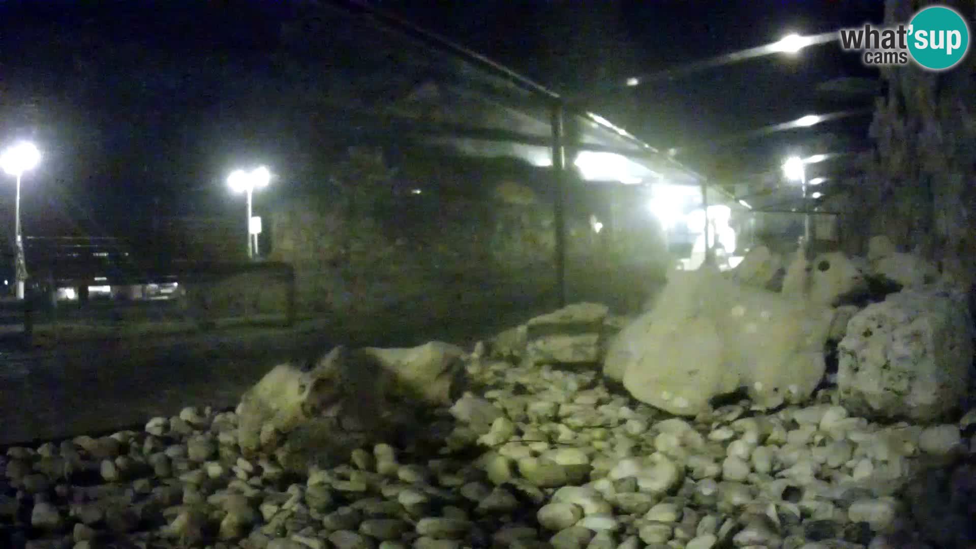 Outdoor Marine Aquarium Rogoznica webcam Croatia