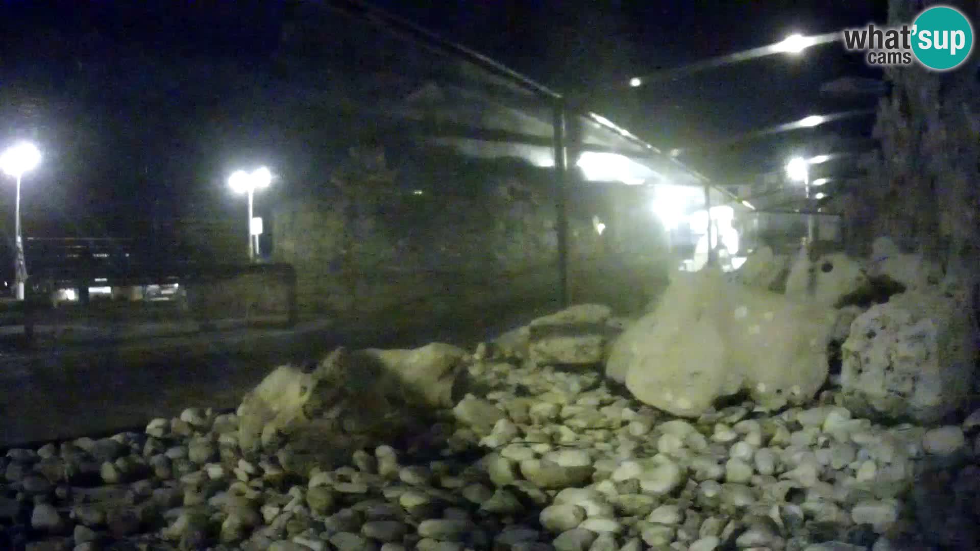 Outdoor Marine Aquarium Rogoznica webcam Croatia