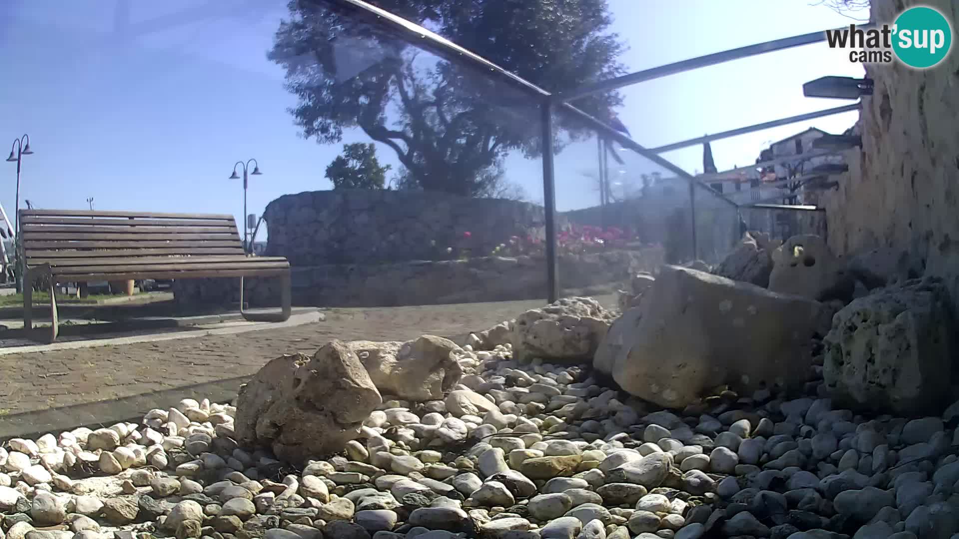 Outdoor Marine Aquarium Rogoznica webcam Croatia