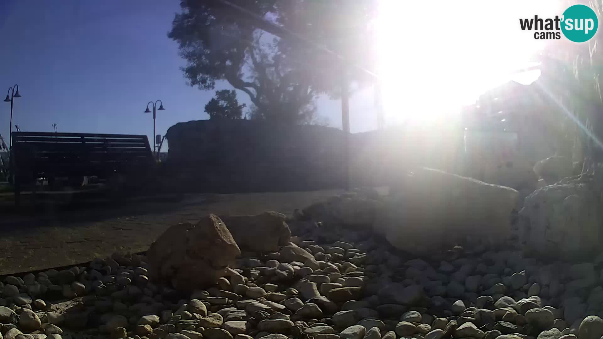 Vanjski morski akvarij Rogoznica web kamera Hrvatska