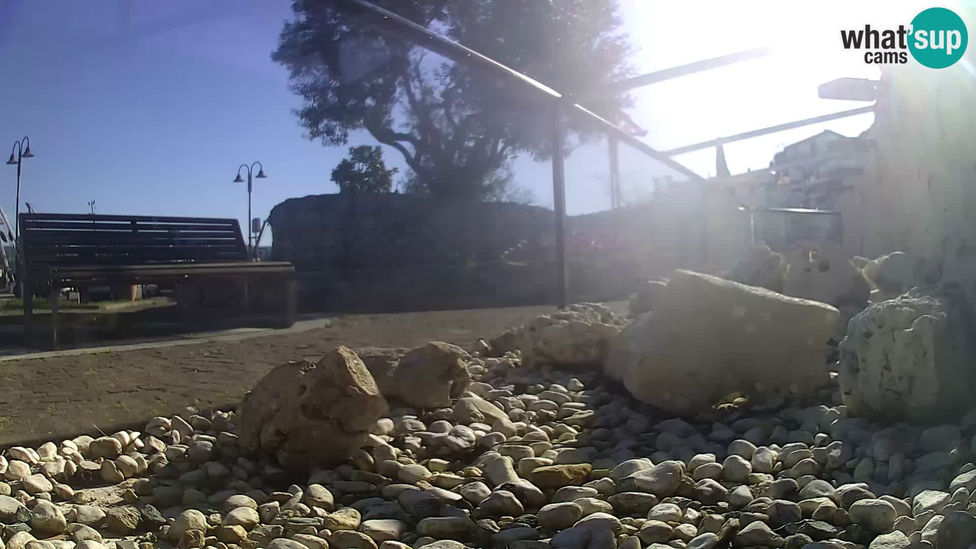 Outdoor Marine Aquarium Rogoznica webcam Croatia