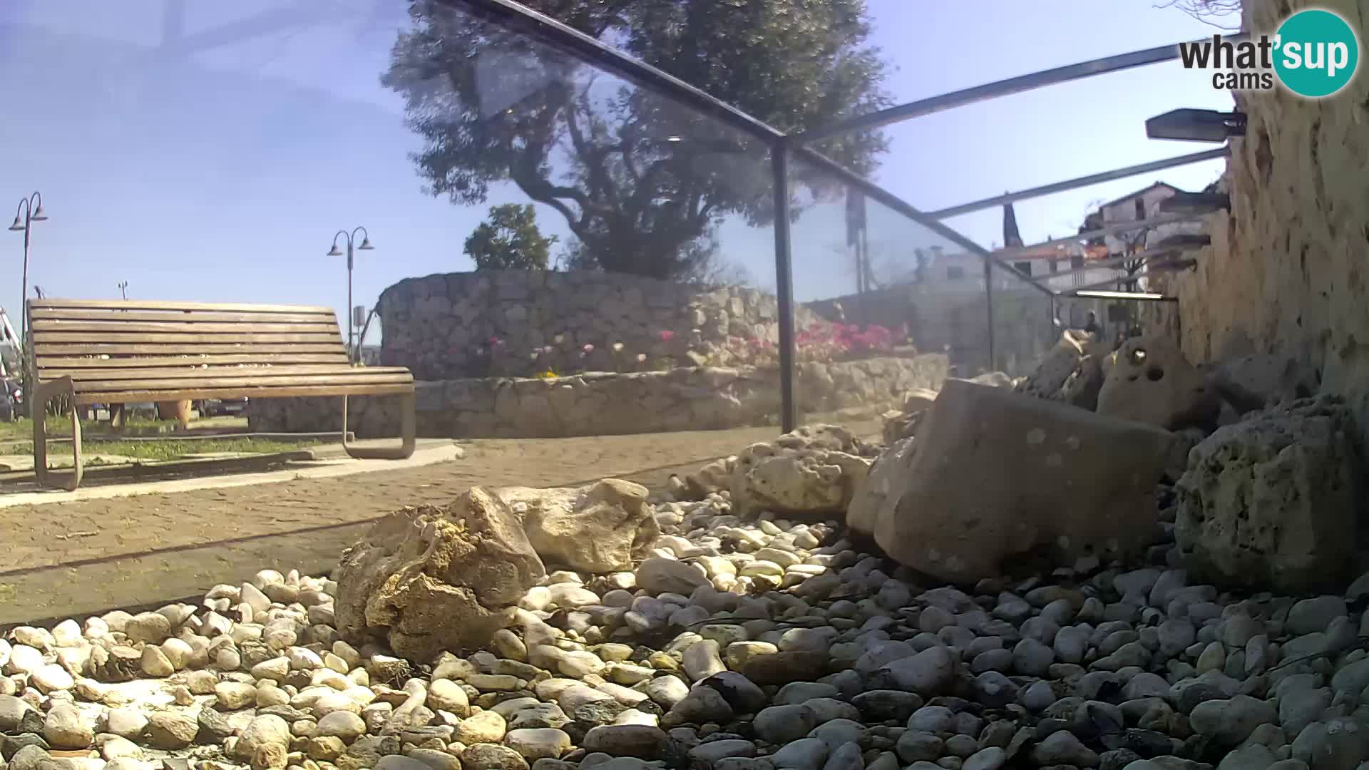 Aquario marino esterno –  Rogoznica livecam Croazia