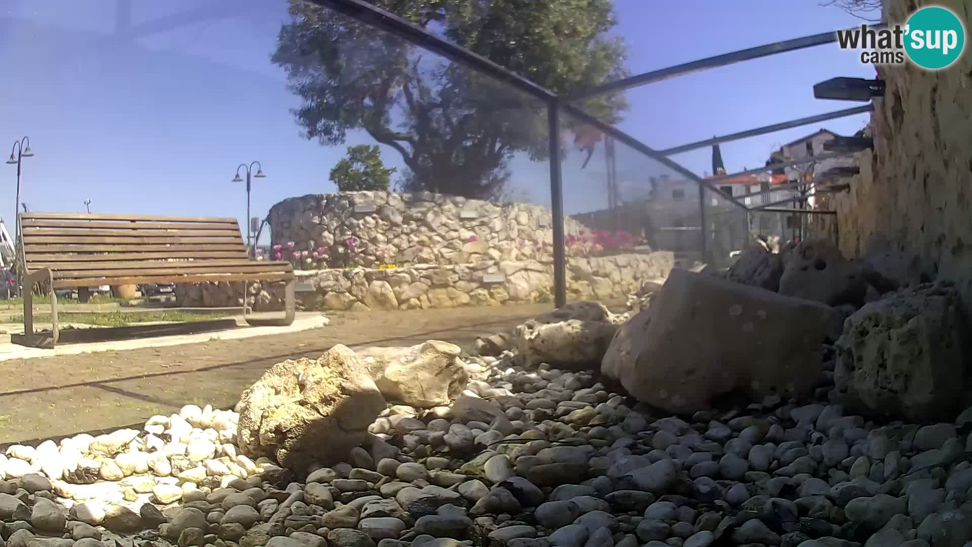 Aquario marino esterno –  Rogoznica livecam Croazia