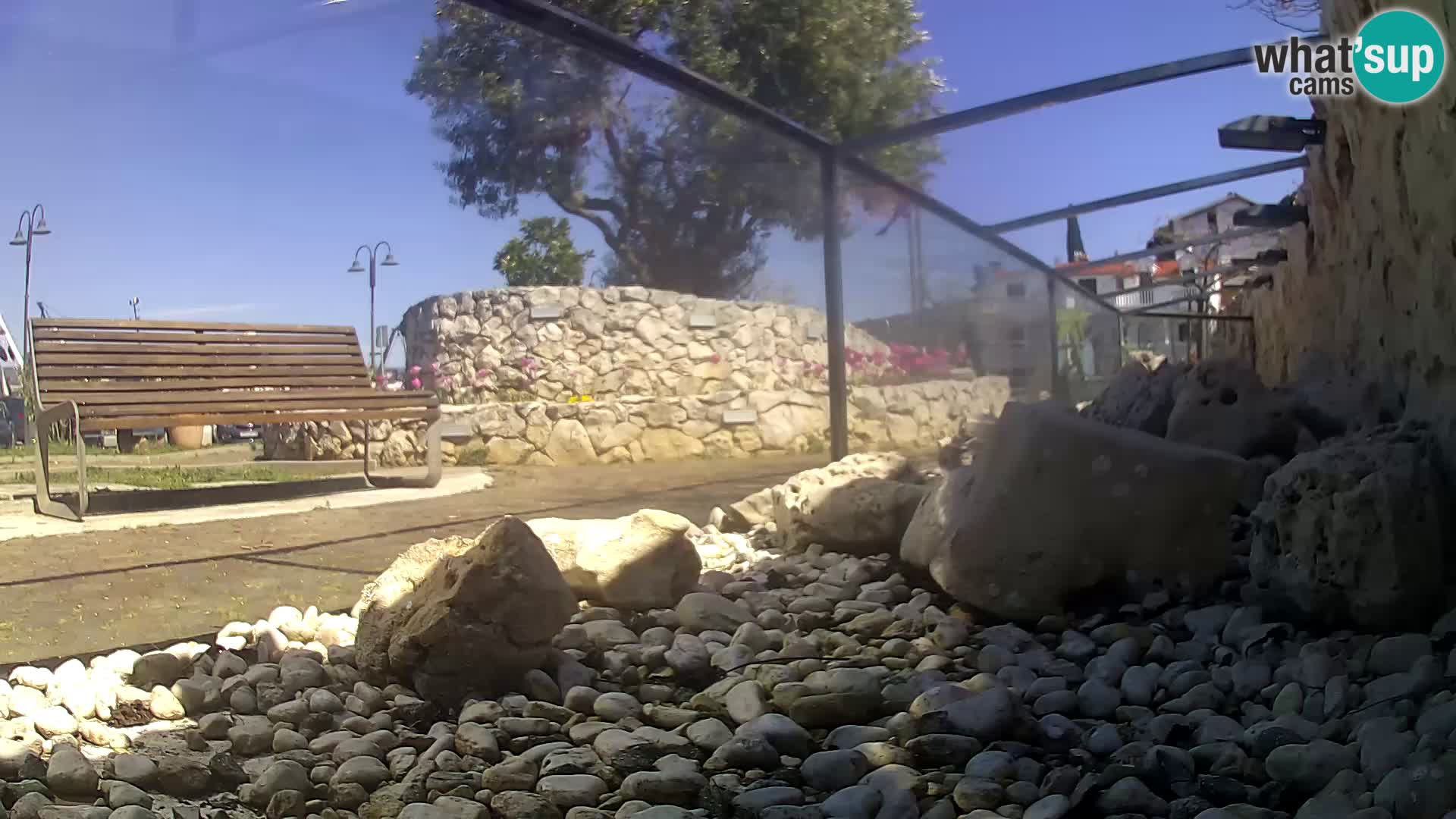 Outdoor Marine Aquarium Rogoznica webcam Croatia